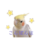 うちのカワイイちびっこたちPart7（個別スタンプ：11）
