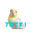 うちのカワイイちびっこたちPart7（個別スタンプ：12）