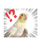 うちのカワイイちびっこたちPart7（個別スタンプ：13）