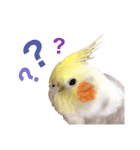 うちのカワイイちびっこたちPart7（個別スタンプ：14）