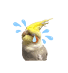 うちのカワイイちびっこたちPart7（個別スタンプ：15）