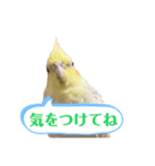 うちのカワイイちびっこたちPart7（個別スタンプ：16）