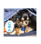 てっぴースタンプ（個別スタンプ：3）