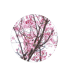 はるのおとずれ（個別スタンプ：1）