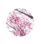 はるのおとずれ（個別スタンプ：2）