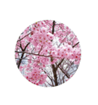 はるのおとずれ（個別スタンプ：3）