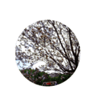 はるのおとずれ（個別スタンプ：14）