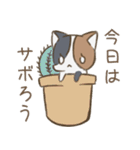 みけねこ3色とお友達（個別スタンプ：3）