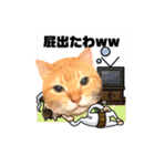 ちゃとらのしょうごもの呟き2(大阪弁)（個別スタンプ：32）