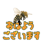 おはよう40 毎日使える（個別スタンプ：29）