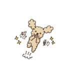 会社で使える！トイプードルのダピ（個別スタンプ：31）