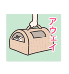 FCねこ（個別スタンプ：4）