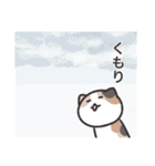 FCねこ（個別スタンプ：15）