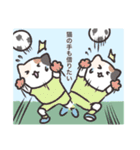 FCねこ（個別スタンプ：17）