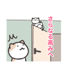 FCねこ（個別スタンプ：19）