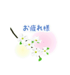 春の花咲く（個別スタンプ：22）