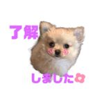 麦むぎムギ（個別スタンプ：2）