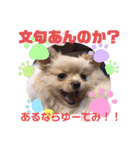 麦むぎムギ（個別スタンプ：7）