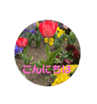 大人の挨拶スタンプ〜spring〜（個別スタンプ：2）