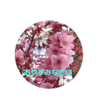 大人の挨拶スタンプ〜spring〜（個別スタンプ：3）