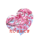 大人の挨拶スタンプ〜spring〜（個別スタンプ：6）