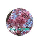 大人の挨拶スタンプ〜spring〜（個別スタンプ：9）