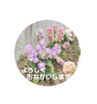 大人の挨拶スタンプ〜spring〜（個別スタンプ：10）