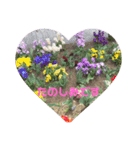 大人の挨拶スタンプ〜spring〜（個別スタンプ：11）