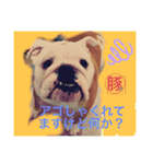 トン吉 スタンプ（個別スタンプ：2）
