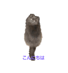 家のネコの1日（個別スタンプ：4）