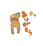 いぬとねこ2匹（個別スタンプ：3）