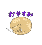いぬとねこ2匹（個別スタンプ：7）
