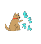 いぬとねこ2匹（個別スタンプ：9）