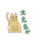 いぬとねこ2匹（個別スタンプ：10）