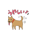 いぬとねこ2匹（個別スタンプ：13）