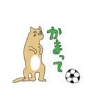 いぬとねこ2匹（個別スタンプ：16）