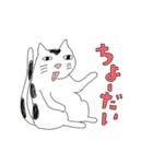 いぬとねこ2匹（個別スタンプ：27）