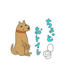 いぬとねこ2匹（個別スタンプ：29）