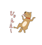 いぬとねこ2匹（個別スタンプ：30）
