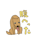 いぬとねこ2匹（個別スタンプ：35）