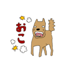 いぬとねこ2匹（個別スタンプ：40）