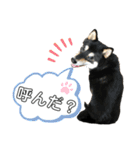 奏海くんスタンプ（個別スタンプ：3）