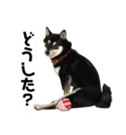 奏海くんスタンプ（個別スタンプ：4）