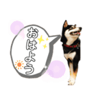 奏海くんスタンプ（個別スタンプ：10）