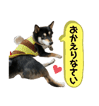 奏海くんスタンプ（個別スタンプ：13）