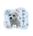 怜桜たんスタンプ☆（個別スタンプ：16）