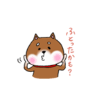 柴犬のぎんさん。（個別スタンプ：9）