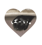 にゃんころりんちょ（個別スタンプ：1）