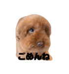 まるちゃんと愉快な仲間たち1（個別スタンプ：4）
