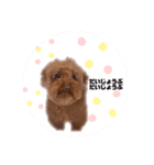 まるちゃんと愉快な仲間たち1（個別スタンプ：6）